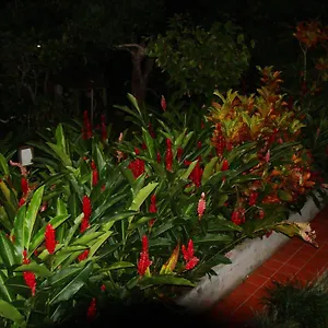L'ecomusee Creole De La Guadeloupe Appartement
